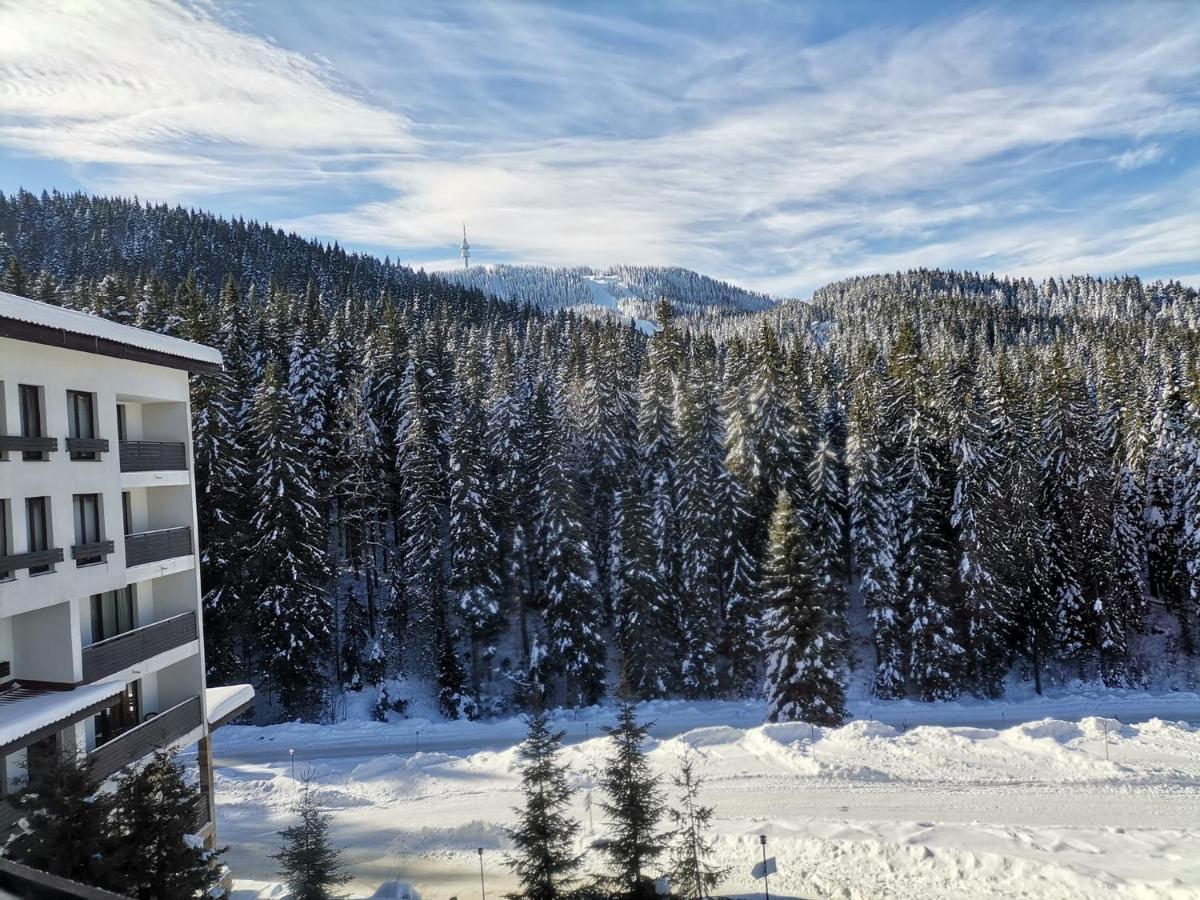 Apartment Ana/ Апартамент Ана Pamporovo Eksteriør bilde